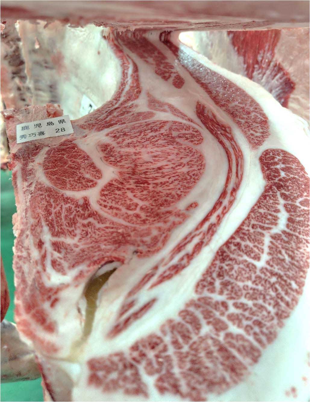 秀巧喜産⼦k28