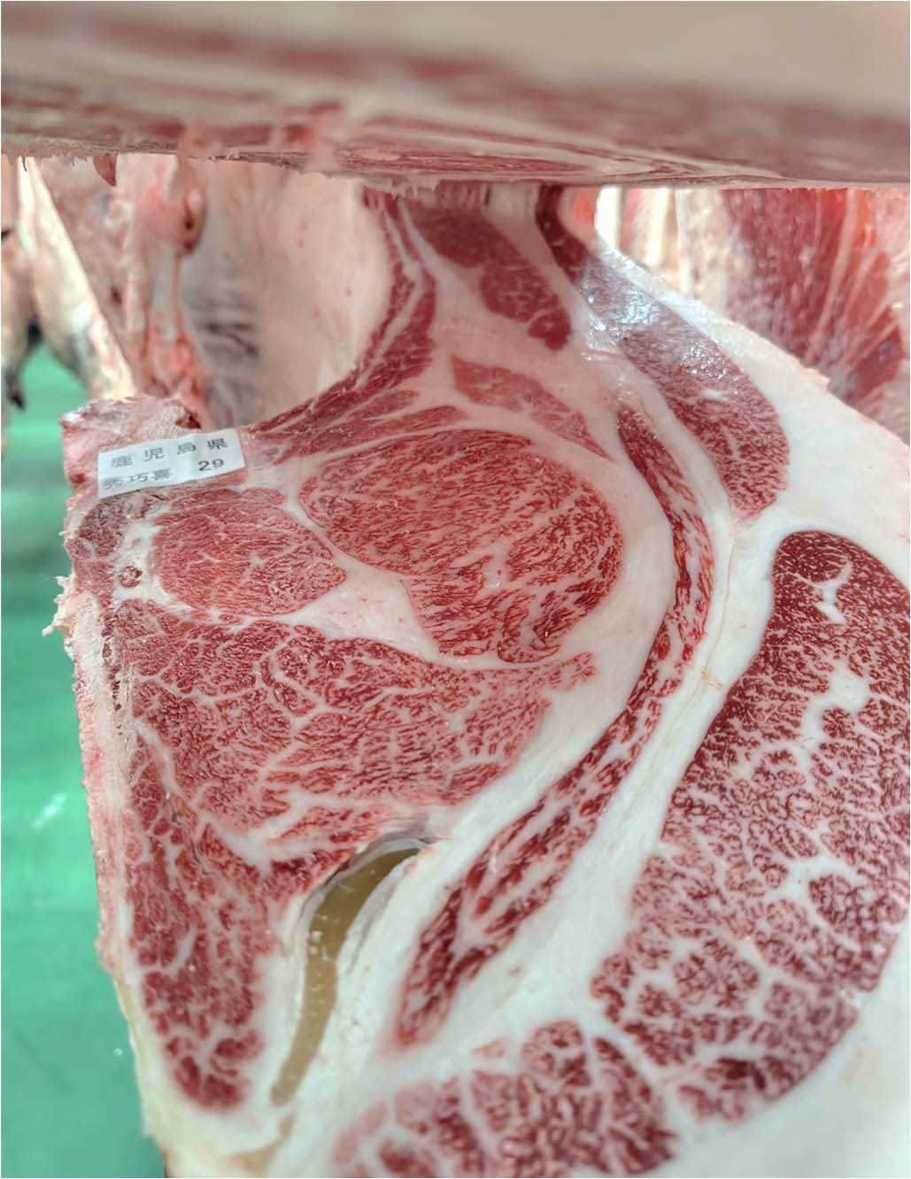 秀巧喜産⼦k29