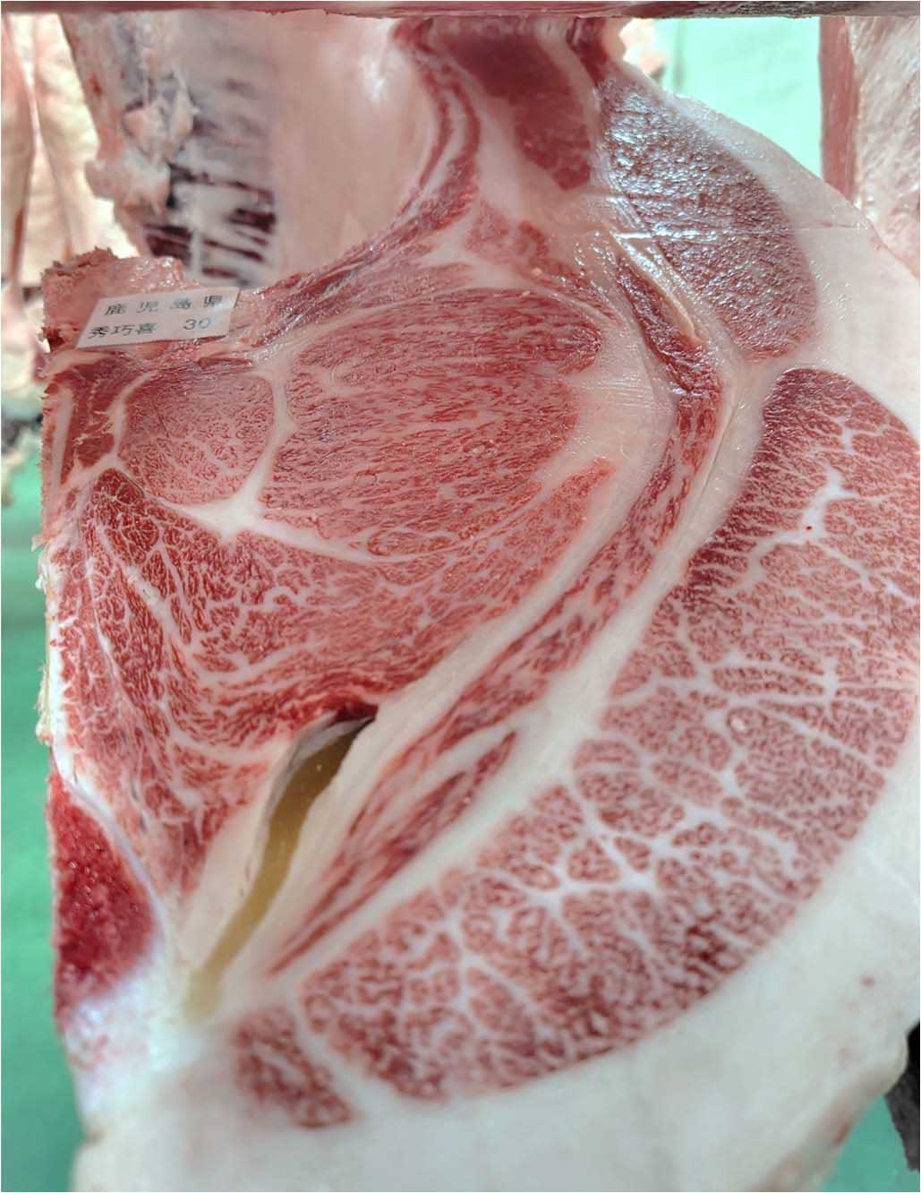 秀巧喜産⼦k30